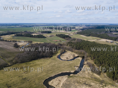 Wierzyca - rzeka w północnej Polsce, lewy dopływ...