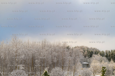 Dobrzewino. Wieś na Kaszubach w powiecie wejherowskim....