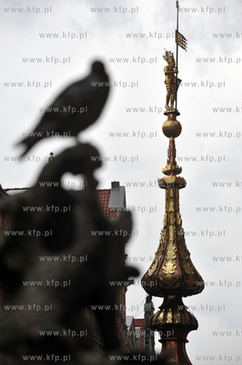 Gwaltowana burza, ktora przeszla nad Gdanskiem uniemozliwila...