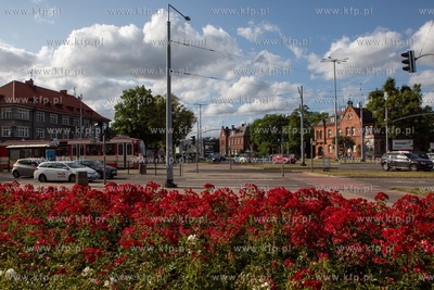 Gdańsk. Klomb z różami na skrzyżowaniu ulic:  Al....