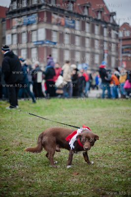 Gdansk. Parada z okazji Narodowego Swieta Niepodleglosci.
11.11.2012...