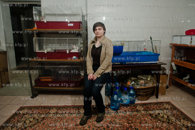 Sopockie Uszakowo - Centrum Adopcyjne Krolikow.
Nz...