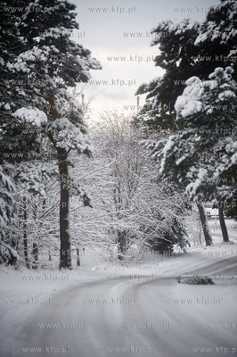 Ggansk. Gorki Zachodnie. Osniezony zimowy krajobraz...