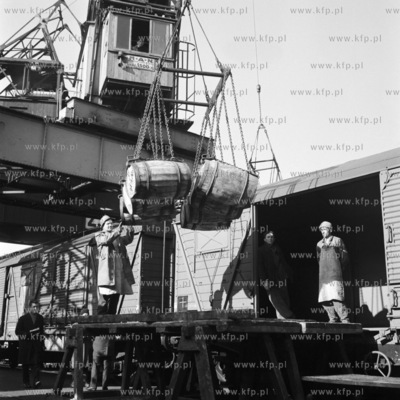 Załadunek przeznaczonych na eksport beczek w pocie...