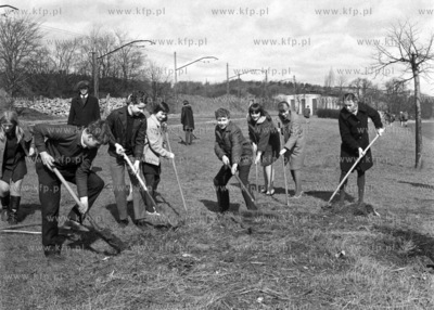 Czyn społeczny młodzieży Szkoły Podstawowej nr...