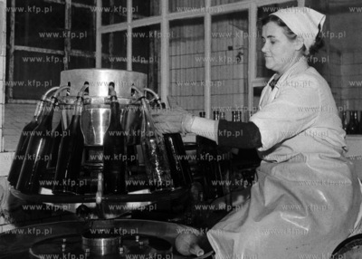 Produkcja wina owocowego przez Gdańskie Przedsiębiorstwo...