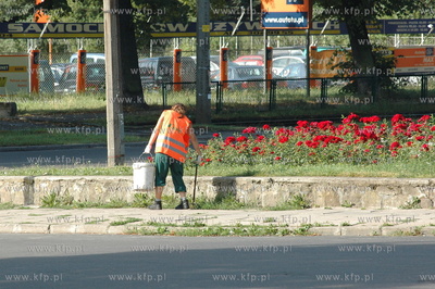 Pracownik gdanskej Zieleni sprzata chodnik.
01.08.2006
fot....
