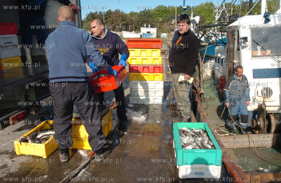 Ustka port, rozladunek zlowinych ryb z kutra Ust-122.
12.05.2009...
