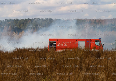 Gdansk. Groznego pozaru na terenie bylego poligonu...