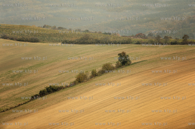 Morawy. Czechy. Okolice miejscowosci Kijev. Nz. pola...