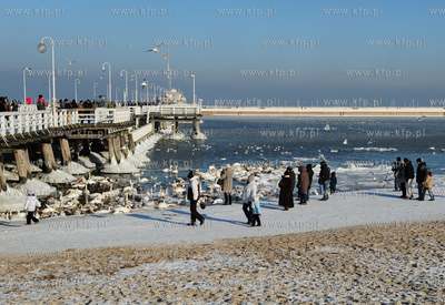 Sopot. Mrozna niedziela na plazy i molo w Sopocie....