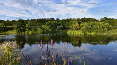 Gdansk. Park Reagana 29.08.2015 fot. Jan Harb Sieminski...