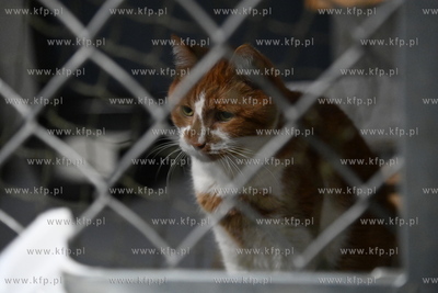 Dzień otwarty w Sopotkowie. 
8.12.2024
fot. Wojciech...