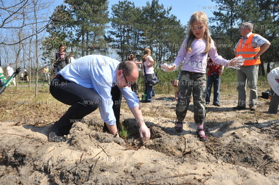 "Las ojców" - czyli sadzenie drzewek przez gdanskich...