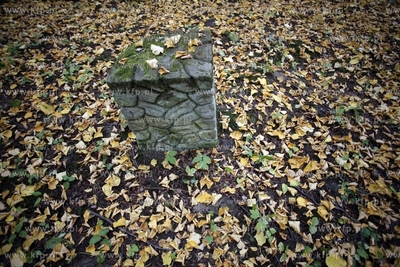 Sopot. Zydowski cmentarz.
24.10.2012
fot. Krzysztof...