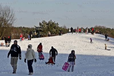 Sanki w Parku Ronalda Reagana w Gdansku.
19.01.2014
fot....