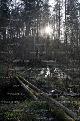 Prywatna działka na terenie Trójmiejskiego Parku...