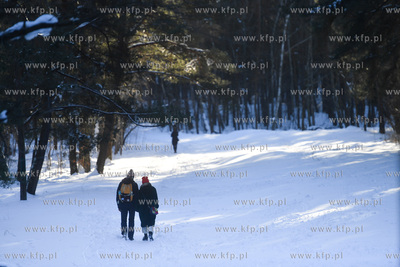 Zimowy spacer po plaży w Sobieszewie 13.02.2021 fot....