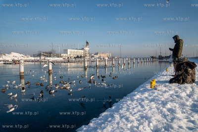 Zimowa Gdynia. Widok na Uniwersytet Morski i Akwarium...