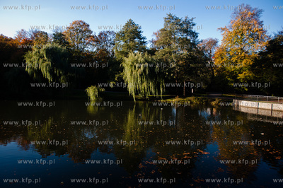Gdansk. Sloneczne jesienne popoludnie w Parku Orunskim.
17.10.2012
fot....