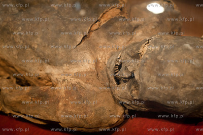 Uniwersytet Gdanski. Wydzial Prawa i Administracji....