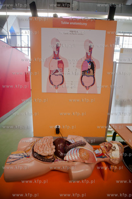 Gdynia.  Pomorski Park Naukowo-Technologiczny. Final...