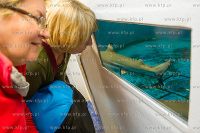 Akwarium Gdynskie. Tydzien Rekina oraz Dni Otwarte...