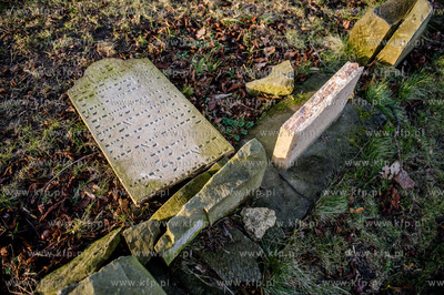 Gdansk. Zdewastowane przez nieznanych sprawcow plyty...