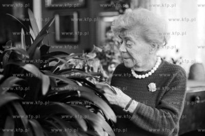 Jadwiga Titz-Kosko, lekarz reumatolog, założycielka...