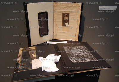 W Pomorskim Parku Naukowo - Technologicznym trwa unikatowa,...