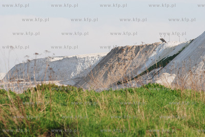Halda fosfogipsow w okolicy Wislinki i Przegaliny kolo...