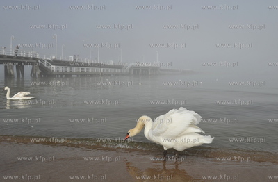 Sopot.  Mgla na sopockiej plazy. 15.04.2011 fot. Jerzy...