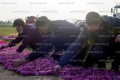 Mokry Dwor - przygotowania do Zulawskiego Tulipna....