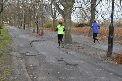 Sopot. Skutki silnego wiatru. 08.11.2015 fot. Jerzy...