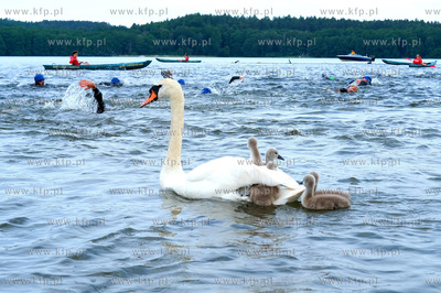XXX Pomorski Konkurs Fotografii Prasowej im. Zbigniewa...