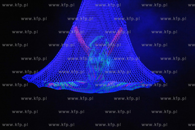 Opera Baltycka w Gdansku. III Gala Nagrod Niezaleznych...