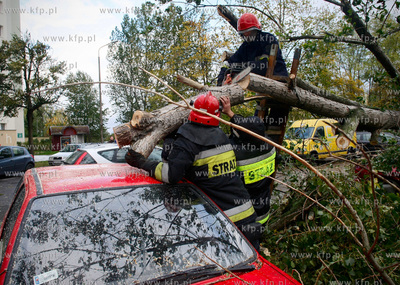 Gdansk. Wichura. Nz na powalone trzy drzewa na ulicy...