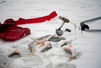 Wędkarstwo podlodowe w Gdańsku na skutej lodem Motławie...