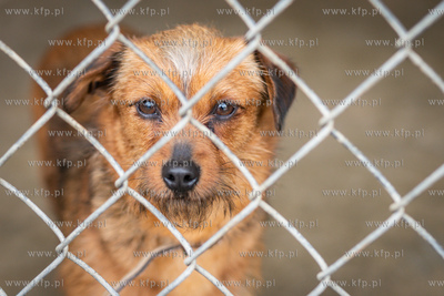 Walentynkowy Dzień Otwarty w Sopotkowie. 12.02.2023...