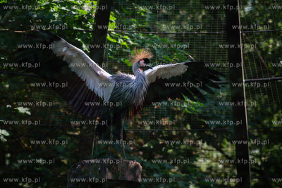 Wejherowo. Muzeum Piśmiennictwa i Muzyki Kaszubsko-Pomorskiej....