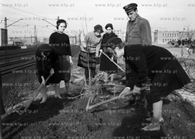 Sadzenie drzewek i krzewów w wzdłuż torów kolejowych...