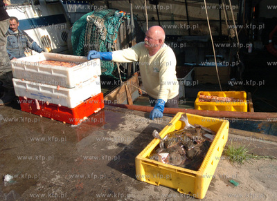 Ustka port, rozladunek zlowinych ryb z kutra Ust-122.
12.05.2009...