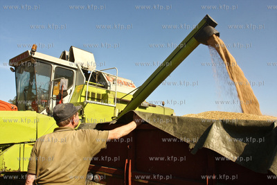 Chwaszczyno. Pierwszy tydzien zniw.  07.08.2009  fot....