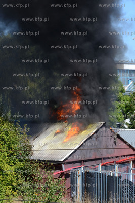 Pozar w Gdyni Grabowku. 26.08.2013 fot. Andrzej J....