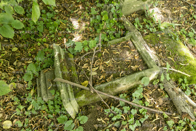 Cmentarz mennonicki z II połowy XVIII wieku w Stawcu...