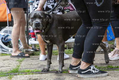 "Cukroteka na 4 łapy" w Pruszczu Gdańskim.
26.08.2023
fot....