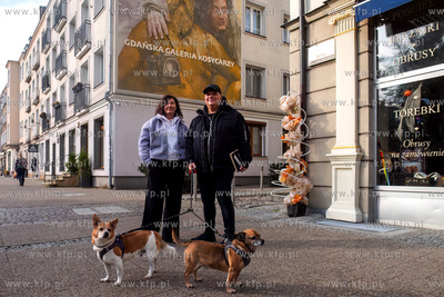 Mural upamiętniający Macieja i Zbigniewa Kosycarzy...