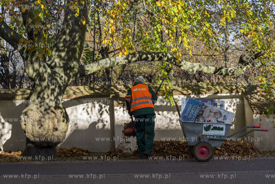 Gdańsk Oliwa. Jesienne porządki.30.10.2019 Fot....