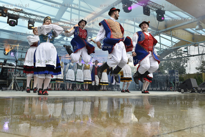 Truskawkobranie na Złotej Górze na Kaszubach. Zespół...