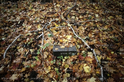 Pozostalosci cmentarza zydowskiego na  Krolewskim Wzgorzu...